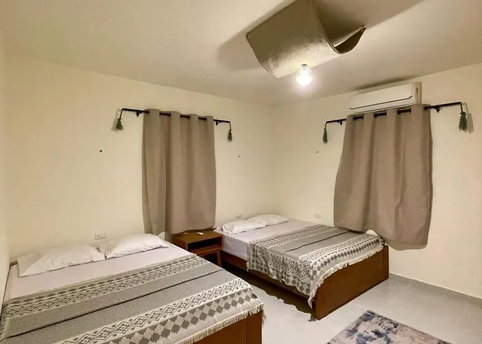 Miz House